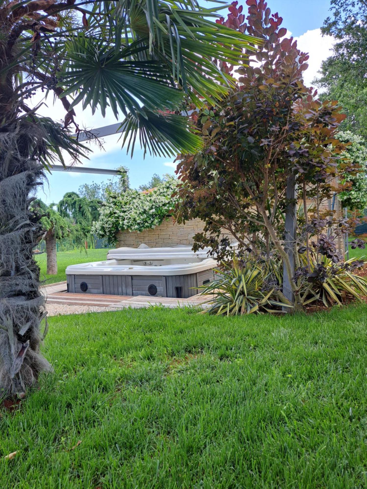 Sotlar With Pool